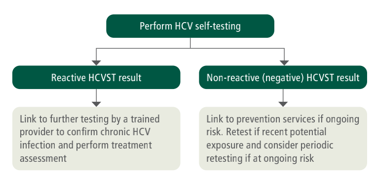HCVST檢測(cè)流程