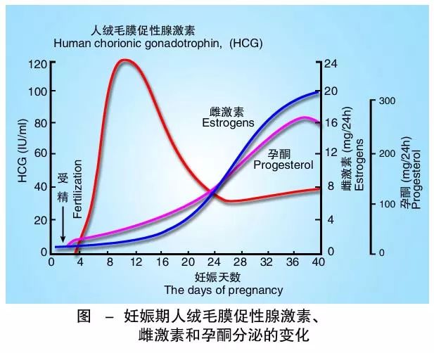 懷孕期間HCG低怎么辦？