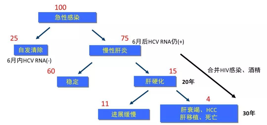 丙肝檢測(cè)的弱陽性究竟是不是感染了丙肝？