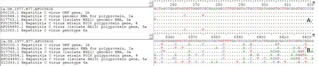 A.5’端非編碼區(qū)序列；B.NS5序列