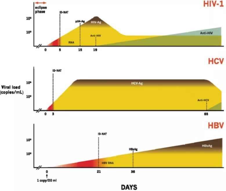 感染各標(biāo)志物檢測的“窗口期”示意圖